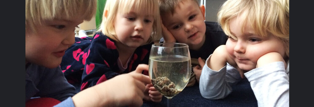 Naturvetenskap i förskolan